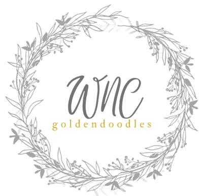 WNC Goldendoodles